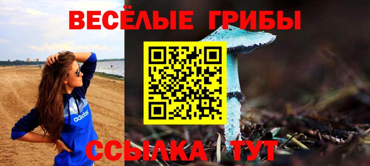 Псилоцибиновые грибы мухоморы Ульяновск